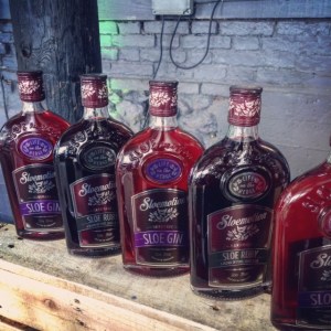 A Day at The Gog Sloe Motion