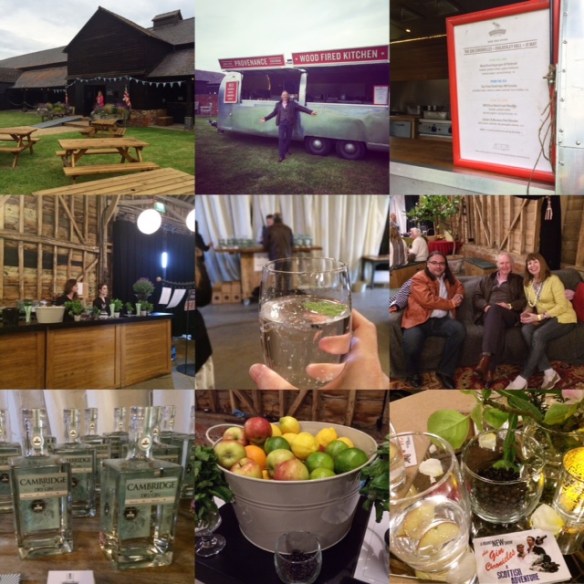 Gin Chronicles Collage