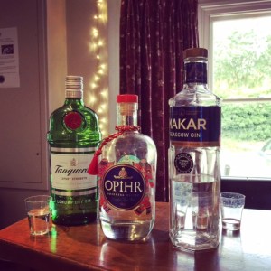 Vera Drink Up Gin The Plough Shepreth