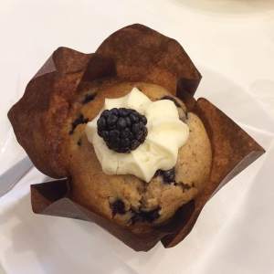 sweet-vaasa-blueberry-muffin