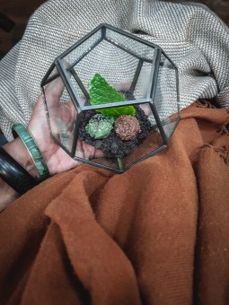 The Tasting Table Cambridge Bumble & Oak truffle terrarium