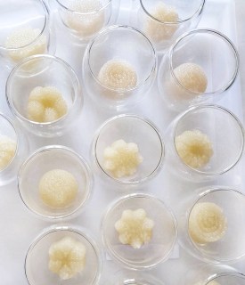 The Tasting Table Cambridge The Baking Jin sago