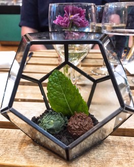 Terrarium of truffles Bumble & Oak