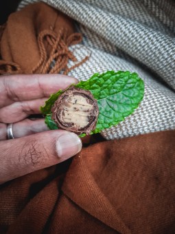 The Tasting Table Cambridge Bumble & Oak cut truffle