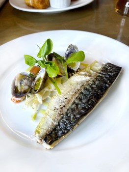 King William IV Heydon mackerel