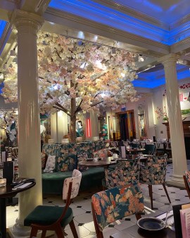 Kibou restaurant in Cambridge